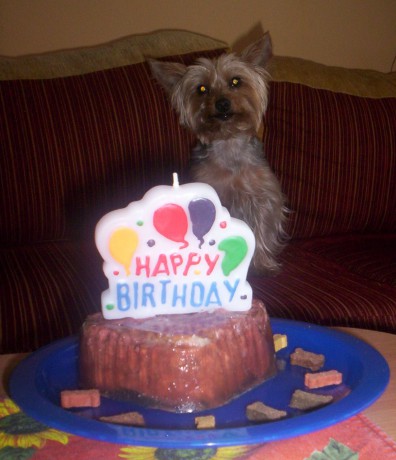 maxík 5.narozky 003.jpg